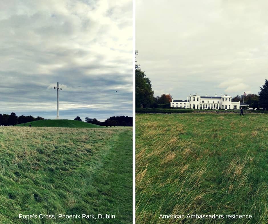 Where to spot wild deer in Dublin: let's enjoy the beautiful Phoenix Park