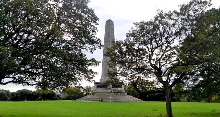 Where to spot wild deer in Dublin: let's enjoy the beautiful Phoenix Park