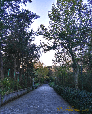 Desert Monastery in Sant'Agata sui Due Golfi