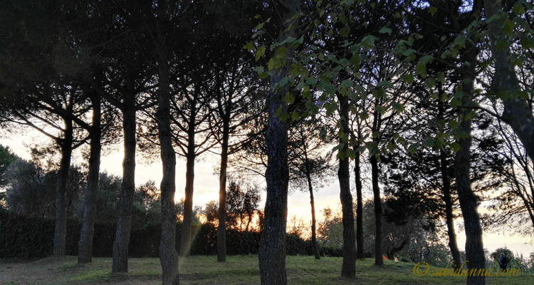 Desert Monastery in Sant'Agata sui Due Golfi