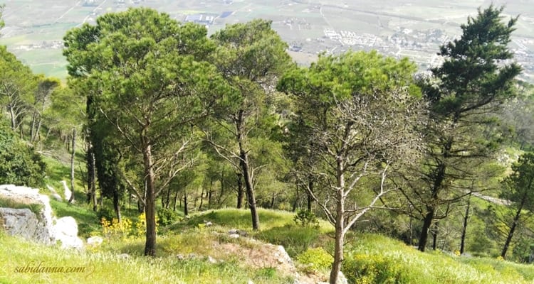 Giardini del Balio, Erice - Cosa visitare a Erice dal blog di sabidanna.com