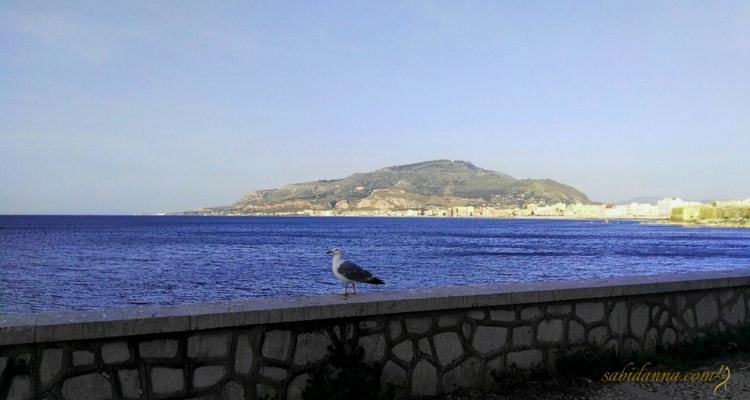 Lungomare di Trapani, Sicilia - Trapani e dintorni in 5 Giorni dal blog di sabidanna.com