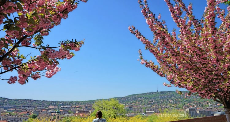 If you are planning a trip to Hungary, take note of these top 20 must-see attractions in Budapest | sabidanna.com