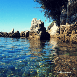 Saint Honorat Island: a true gem on the French Riviera - sabidanna.com