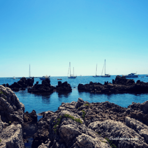 Saint Honorat Island: a true gem on the French Riviera - sabidanna.com