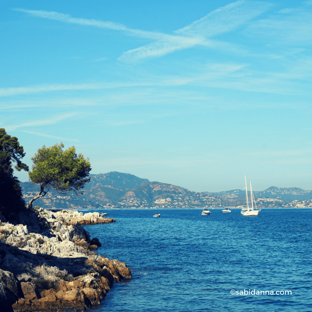 Saint Honorat Island a True Gem in the French Riviera