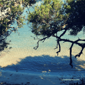 Saint Honorat Island: a true gem on the French Riviera - sabidanna.com