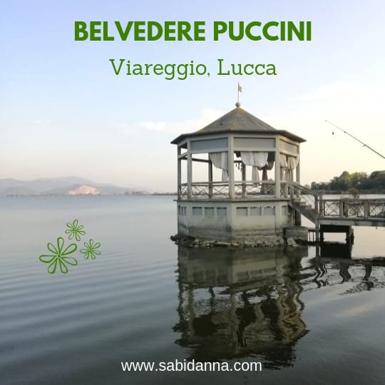 Belvedere Giacomo Puccini, Viareggio - Dal blog di sabidanna.com