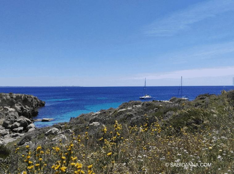 Favignana Island Sicily - Isola di Favignana in Sicilia: cosa vedere - Dal blog di viaggi di Sabina D'Anna - sabidanna.com