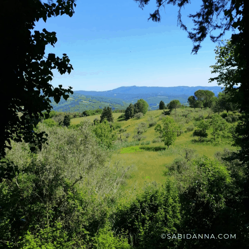 Weekend a Montescudaio, Toscana. I borghi più belli d'Italia, dal blog di viaggi di sabina D'Anna su sabidanna.com