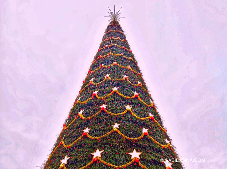 Albero di natale presso i mercatini di Natale a Bucarest, Dicembre 2019