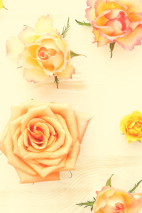 Free wallpaper for your mobile, blog & social media. Flower background - floral wallpaper